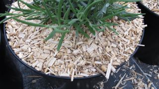 Les premiers supports de culture CE et les premiers biostimulants CE seront mis sur le marché le 16 juillet 2022. ©Valérie Vidril